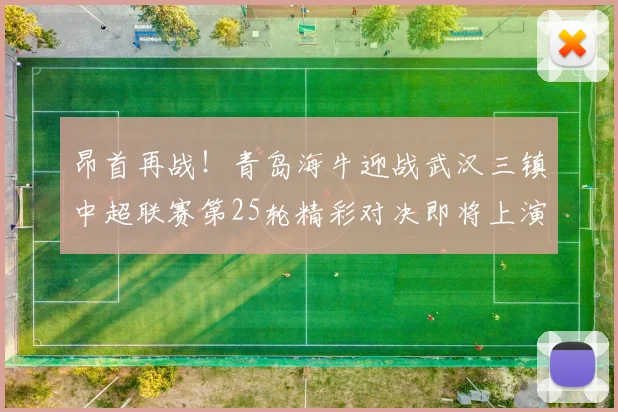 昂首再战！青岛海牛迎战武汉三镇中超联赛第25轮精彩对决即将上演